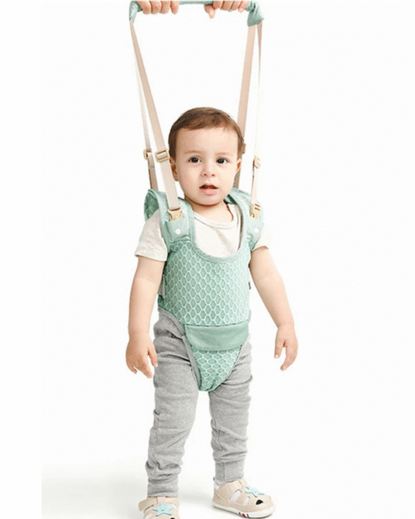 Harnais de marche bébé – Image 5