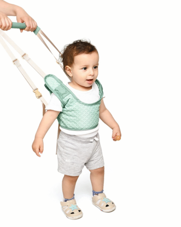 Harnais de marche bébé